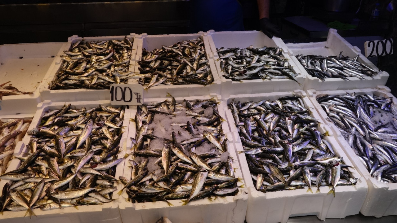 Tezgahlar istavritle doldu: İşte istavrit, mezgit, hamsi ve palamut fiyatı...