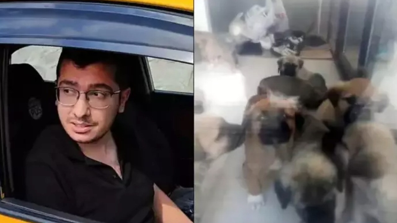 Köpeklere istismarda bulunup katleden doktora hapis cezası