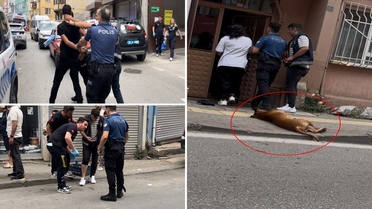 İhbara gelen polislere saldırı: Köpeğini saldırtıp bir polisi de kendisi ısırdı