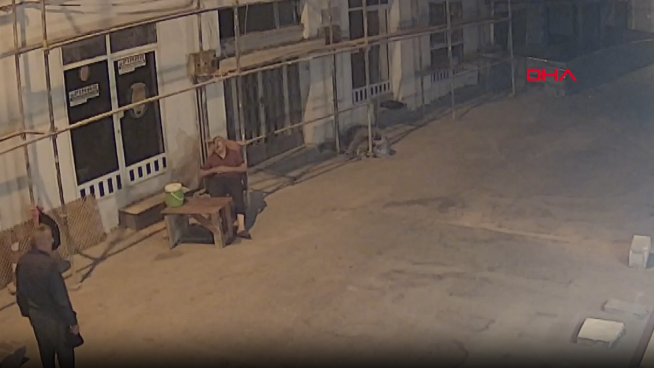 Bekçi sandalyede uyuyakalınca olanlar oldu