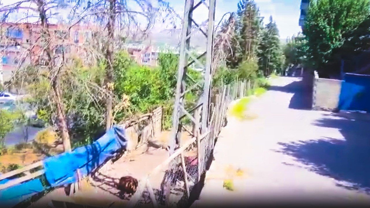 Ölü keçiye dokundu, kendisi de öldü