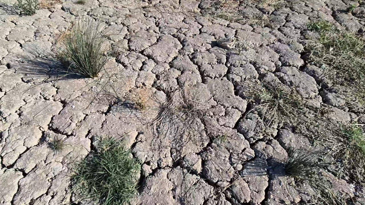 Meteoroloji’den çarpıcı rapor: Yağışlar 52 yılın en düşük seviyesinde