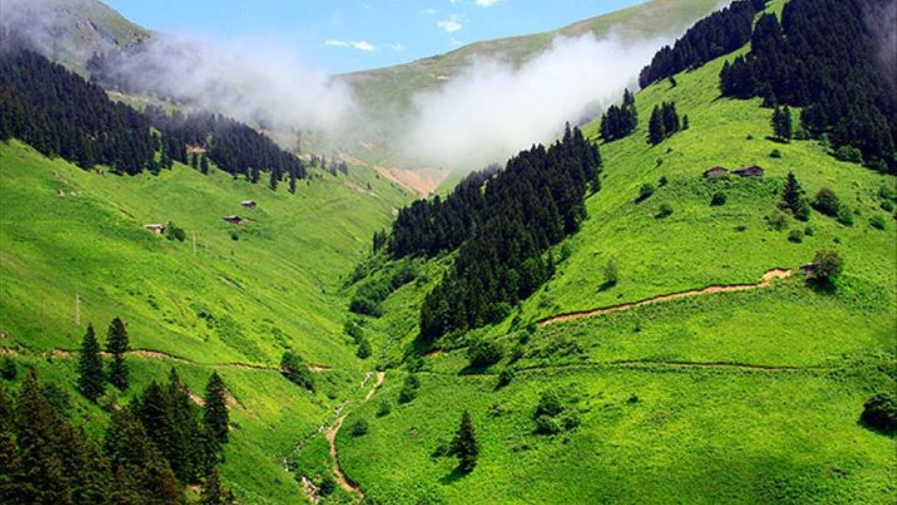 Yayla tatili faciayla bitti