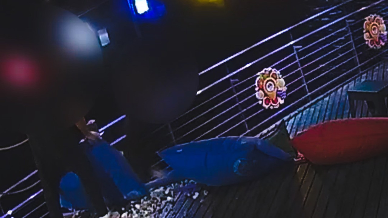 Belediyenin kafesine 'eğlenmek için' saldırmışlar