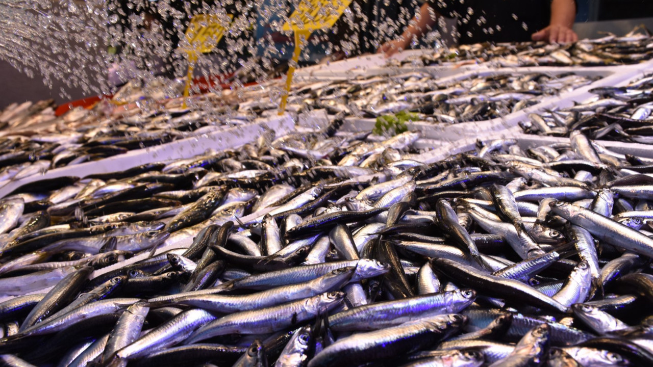 Trabzon'da hamsinin kilogramı 100 liradan satılıyor