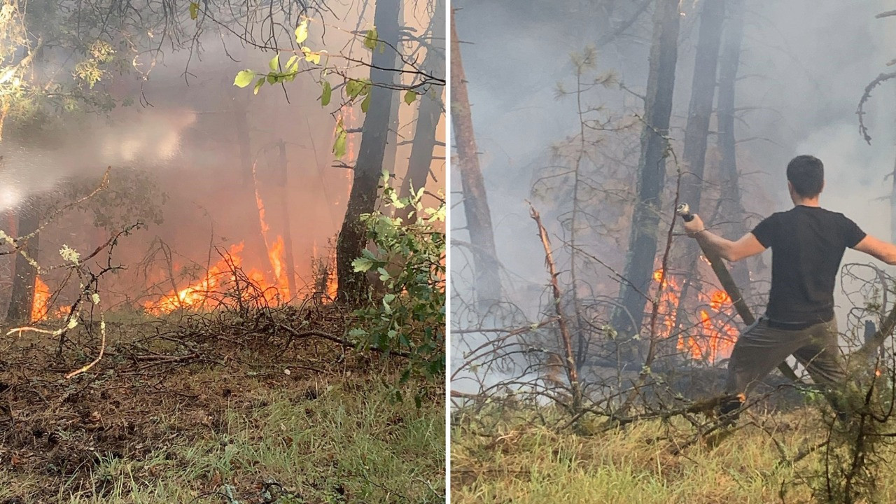 Karabük'te orman yangını