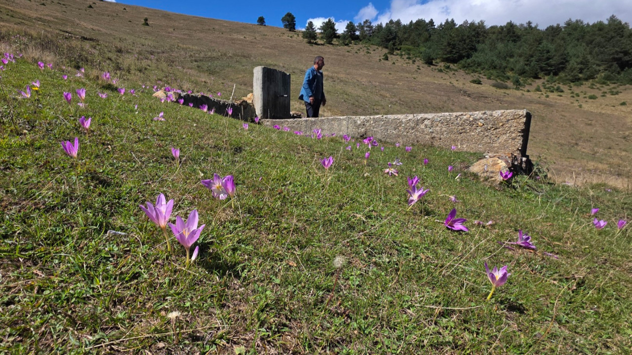 Yaylalarda kışın habercisi kendini gösterdi