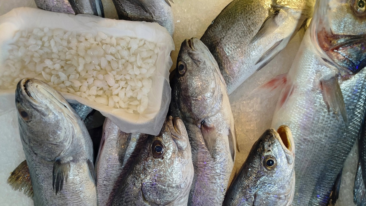 Balık 650, başındaki taş 10 bin TL