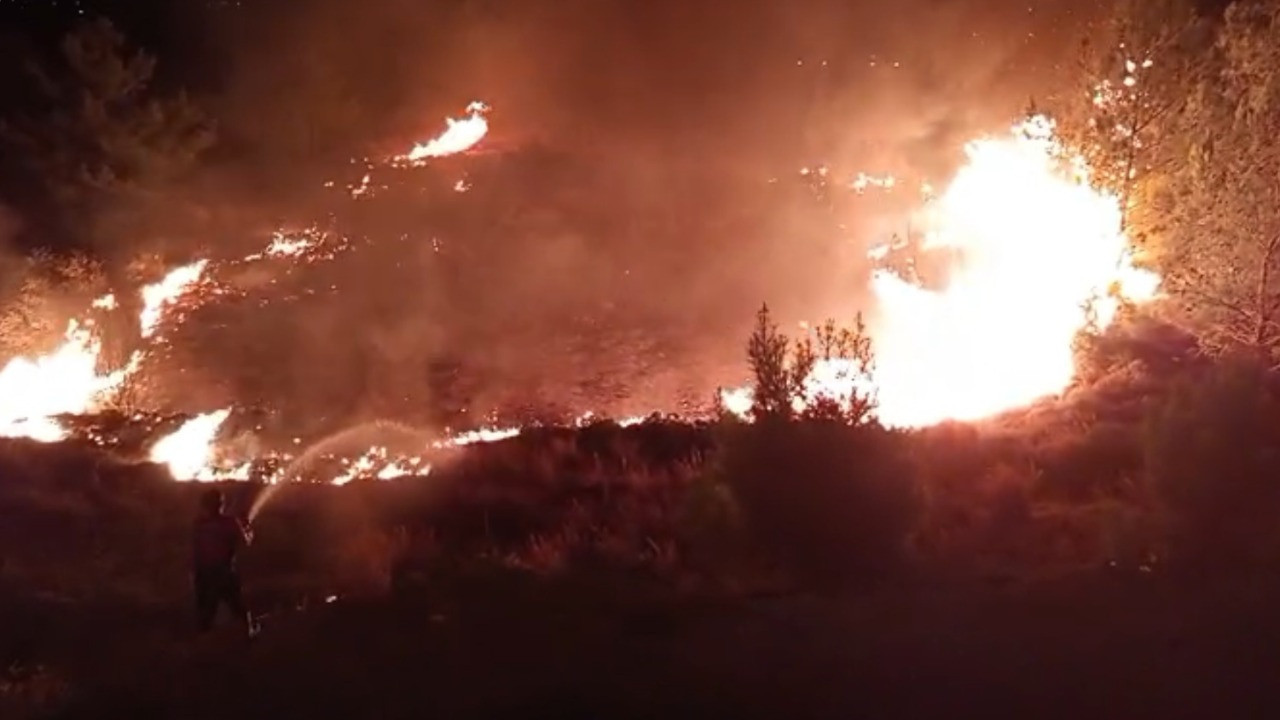 Düğünde atılan havai fişekler yangın çıkardı iddiası