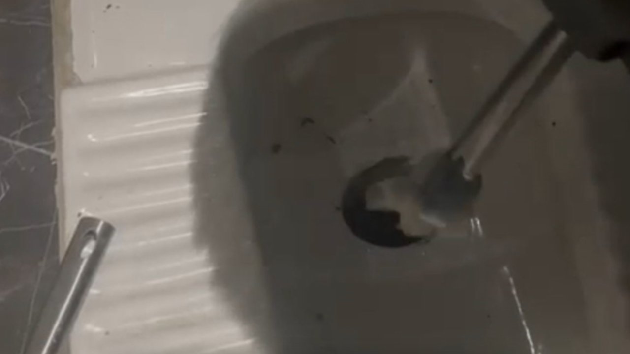 Tuvalette yakalandı