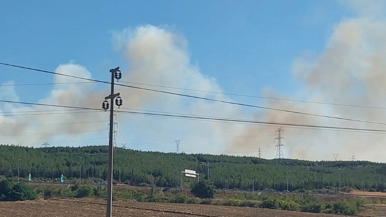 Çanakkale'deki orman yangını kontrol altında