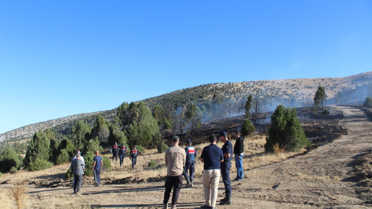 Konya’da orman yangını