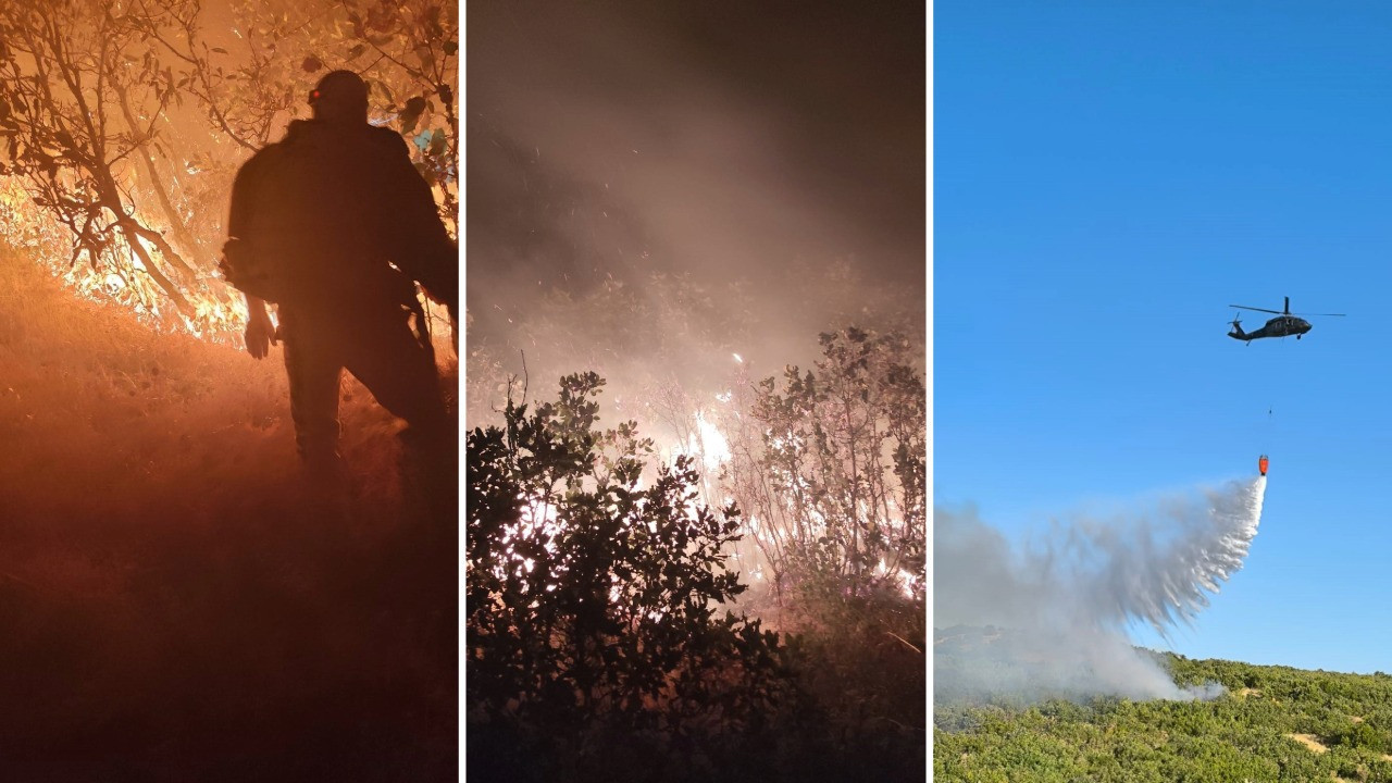 Diyarbakır’da orman yangını