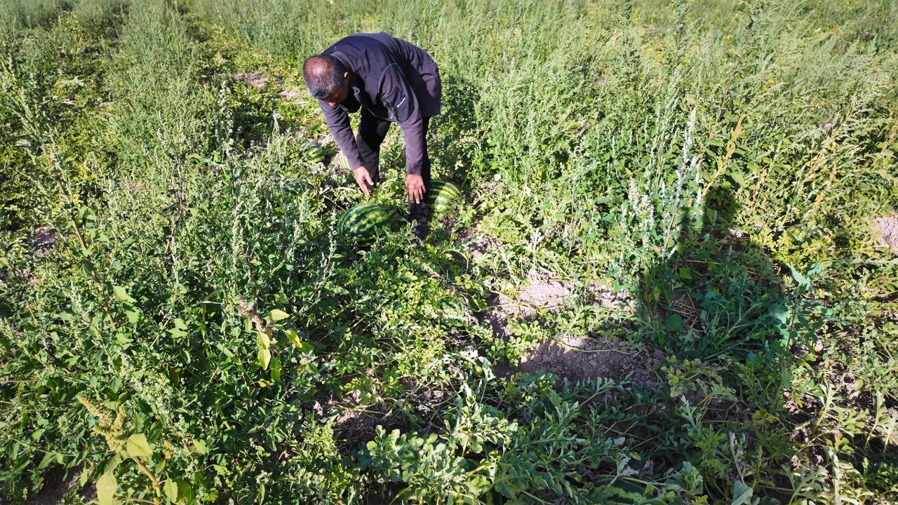 Zarar etmekten son anda kurtuldu: Diğerleri 2 TL'ye satmak zorunda kaldı