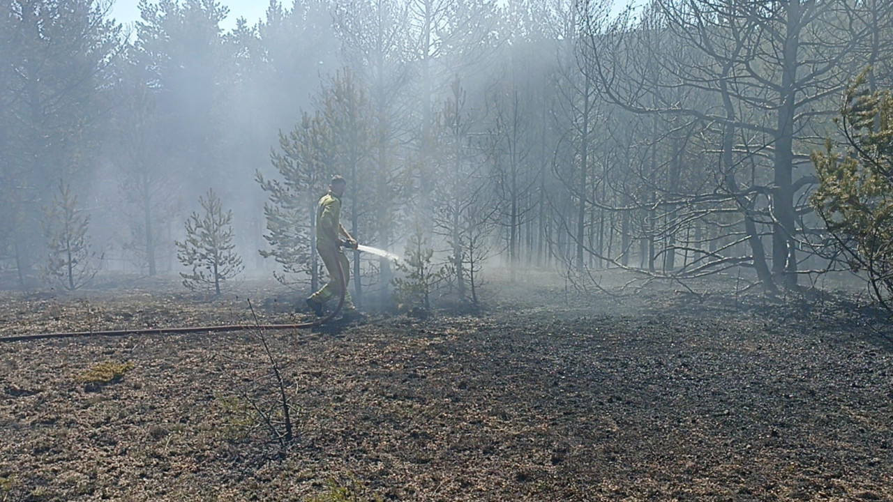 Kahramanmaraş'ta orman yangını