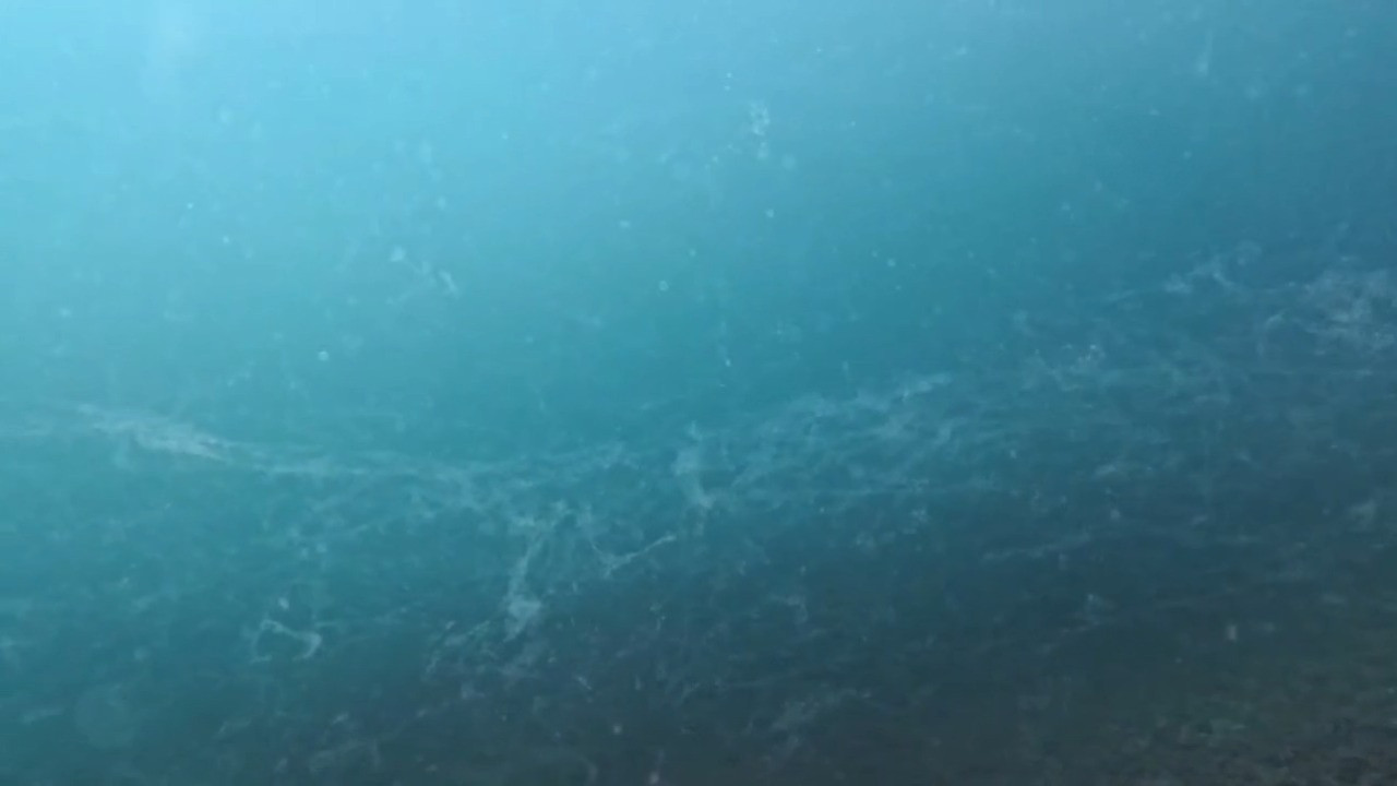 Prof. Dr. Mustafa Sarı'dan müsilaj mesajı: 'İşin şakası kalmadı'