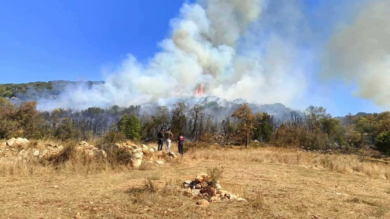 Muğla'da orman yangını