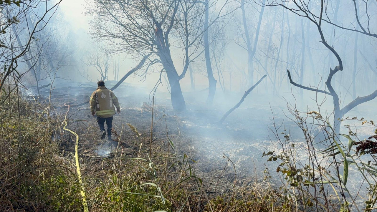 Büyükçekmece’de korkutan yangın