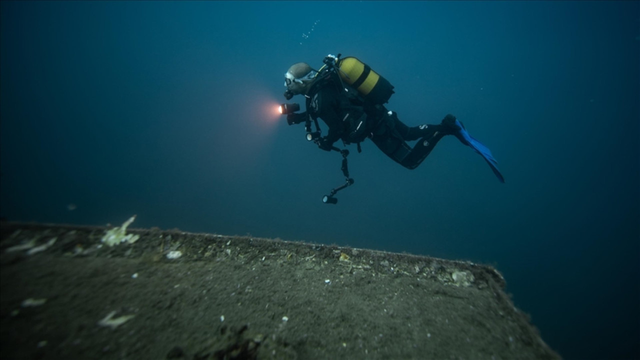 Bilim insanları şaşkın: Deniz canlıları, bombalar üzerinde yaşıyor