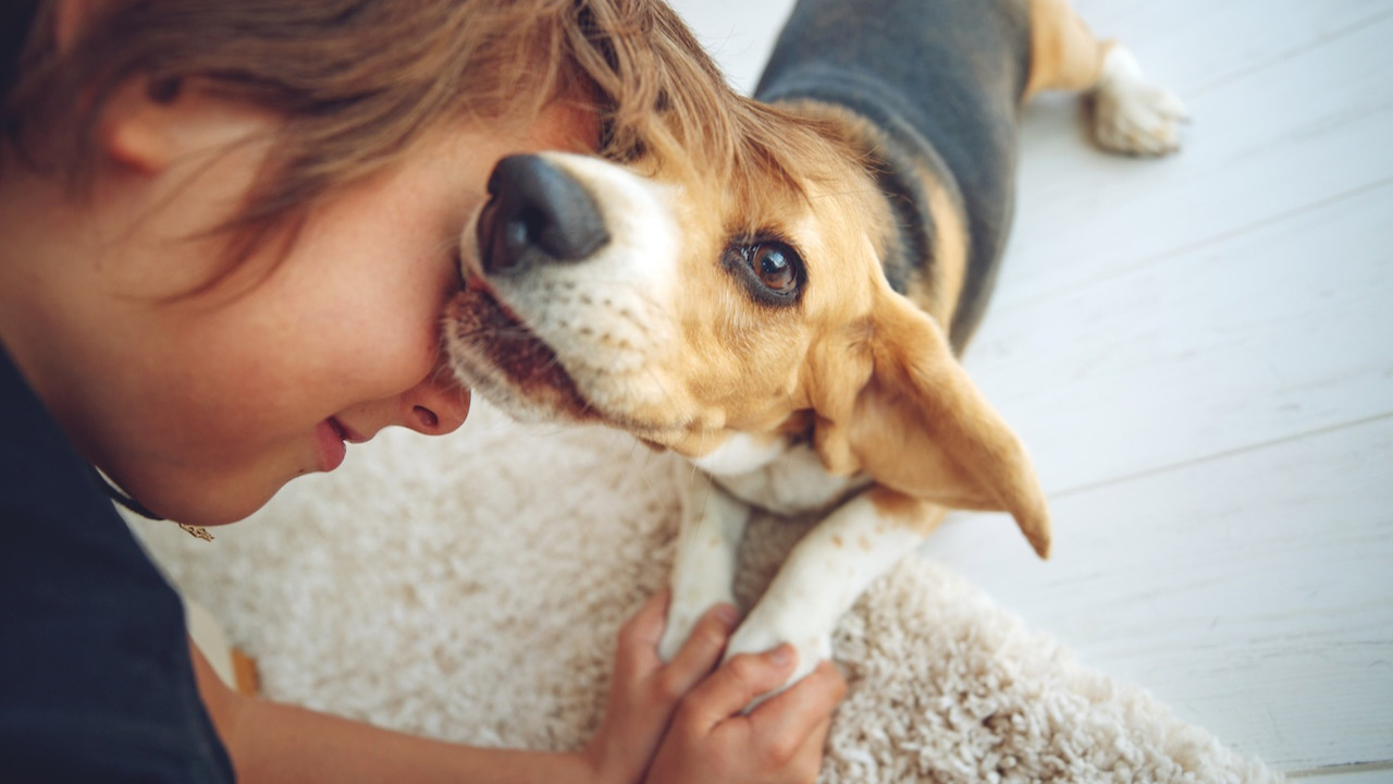 Bilimsel araştırma: Köpeklerle büyüyen çocuklar daha sağlıklı
