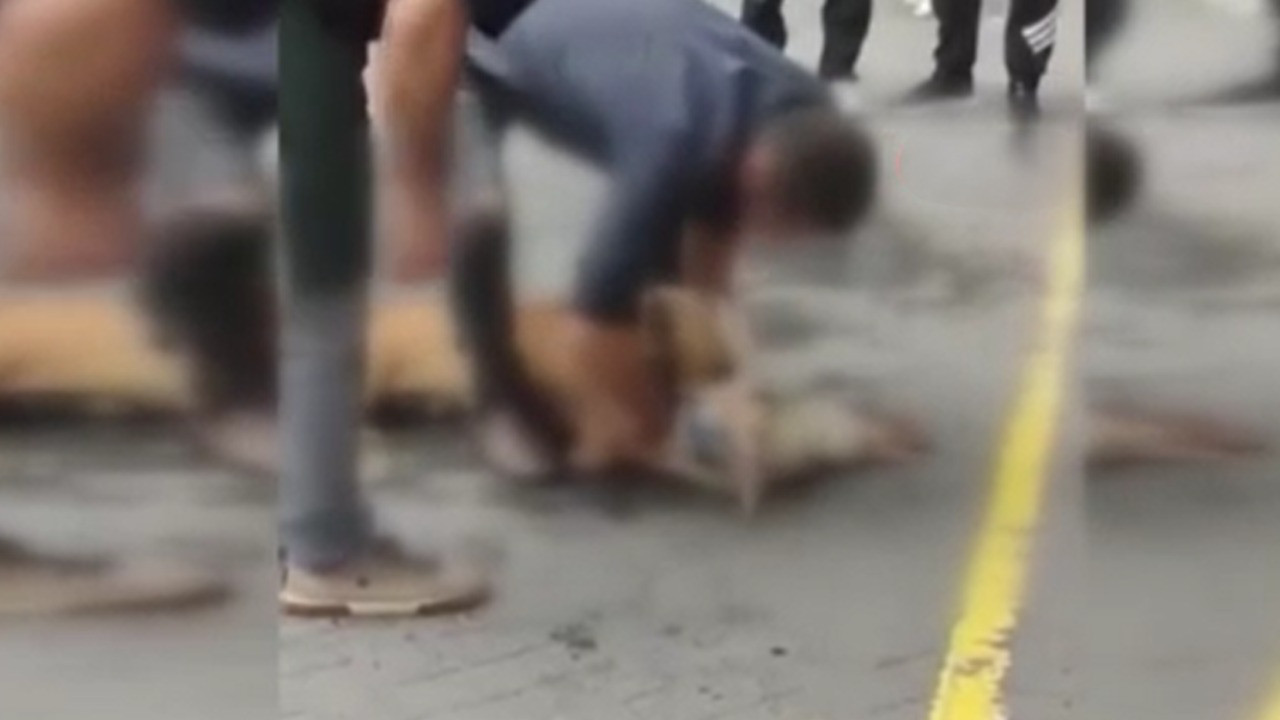 Ağızlığı olmadan gezdirilen pitbull dehşet saçtı