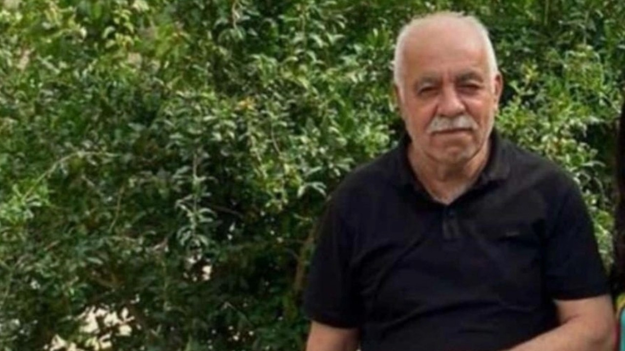 Ceviz toplarken ağaçtan düşen muhtar öldü