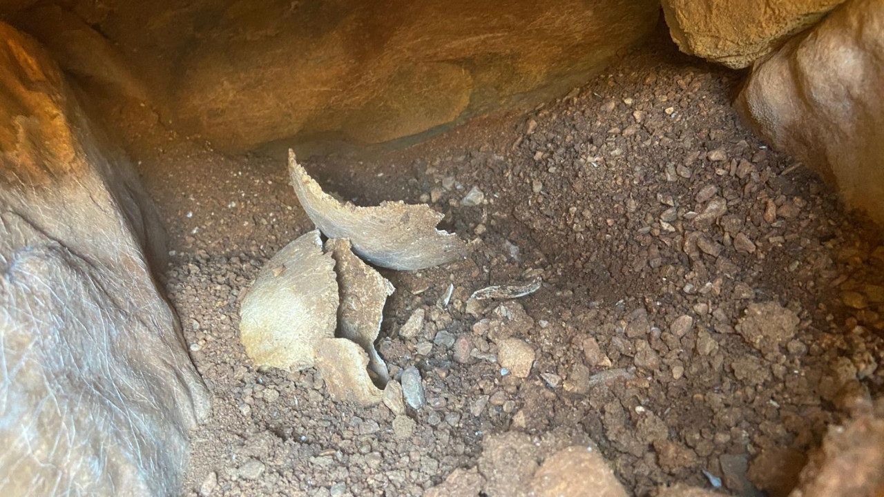 Depo kazısından tarihi eser çıktı: Çalışmalar durduruldu