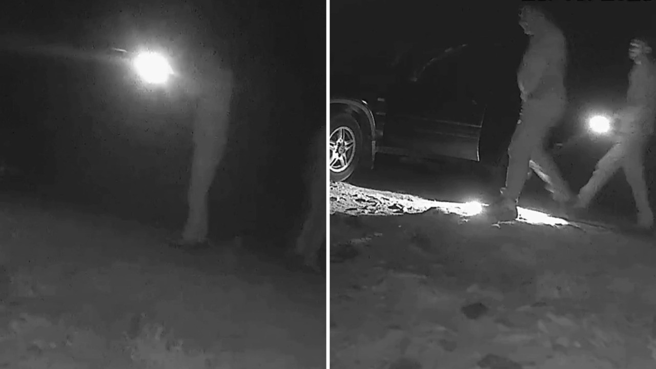 Fotokapana yakalandılar: Bozayıyı vuran kaçak avcılara 170 bin TL ceza