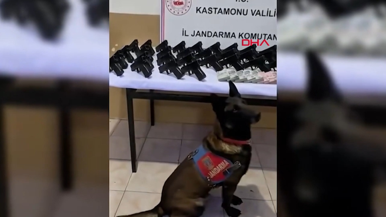 Kastamonu'da silah kaçakçılığı operasyonu: 2 tutuklama