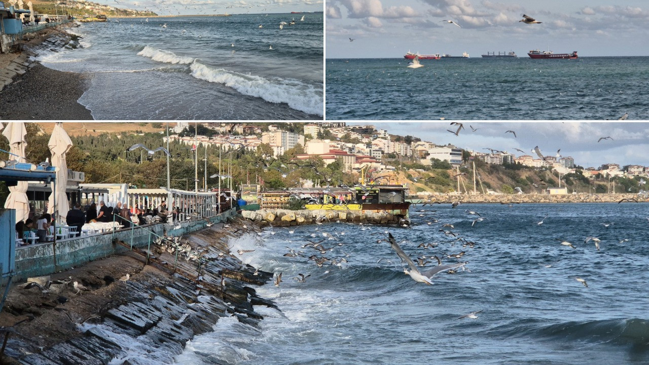 Marmara Denizi'nde poyraz ulaşımı olumsuz etkiledi