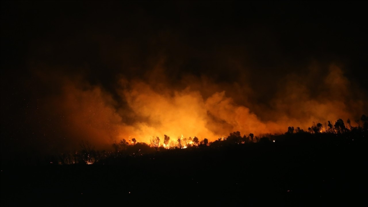Arazi yangını ormana sıçradı