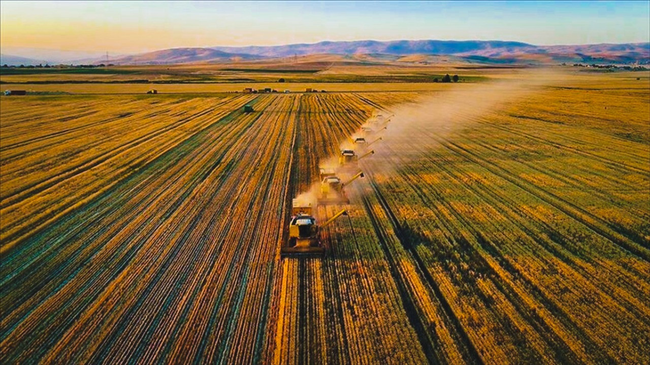 Fiyatlara tepki büyük: Ürünü 12 TL'ye satıp 55 TL'ye mazot alıyorlar