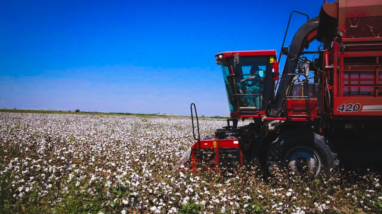 Net rakam verdi: En az 50 TL olmalı