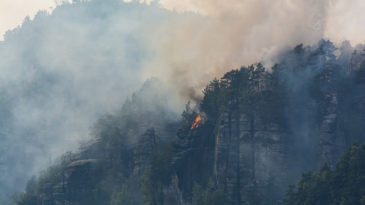 İlk onlar çekiyordu: Orman yangınlarını fotoğrafçılar çıkarmış