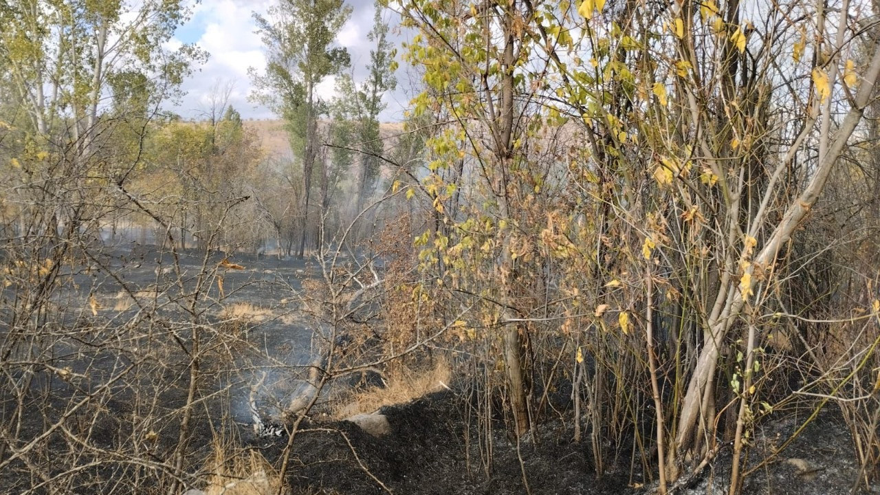 Bahçelik alanda çıkan yangın söndürüldü