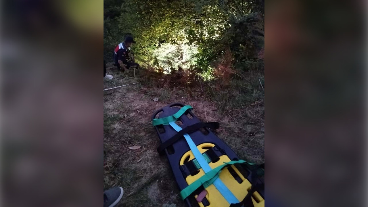 Ot biçen baba-oğul uçuruma düştü