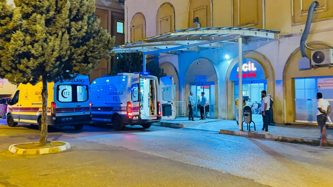 Otomobilin çarptığı eşek ile üzerindeki kişi yaralandı