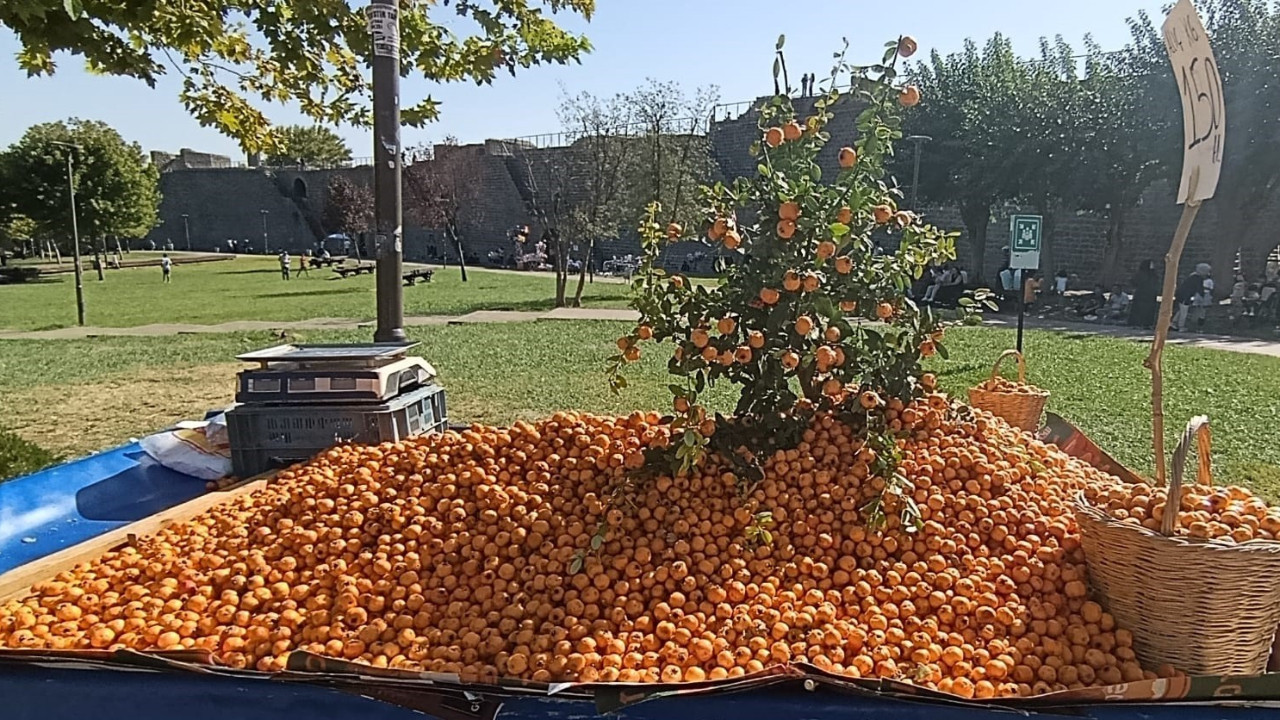 Şifa deposunu gören tezgaha akın etti