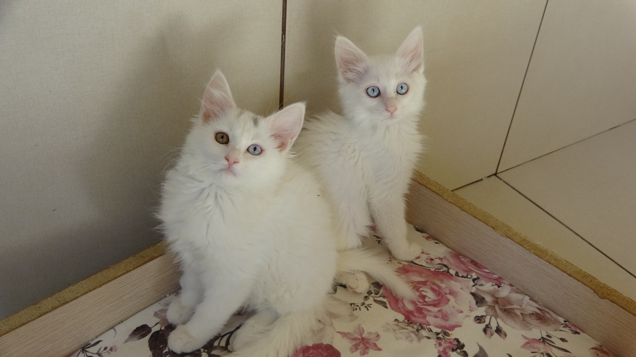 Kırmızı alarm kaldırıldı