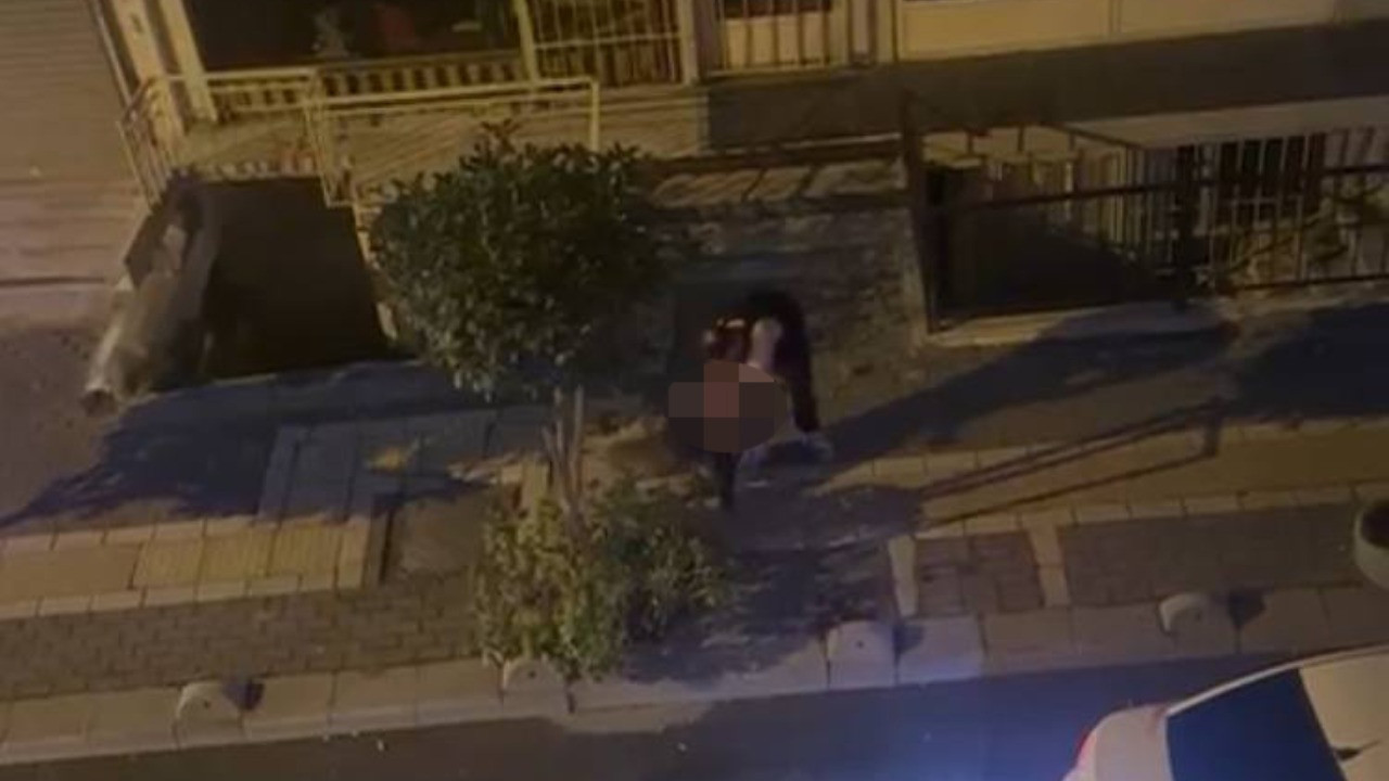 Pitbull cinsi köpek, sahibine saldırdı