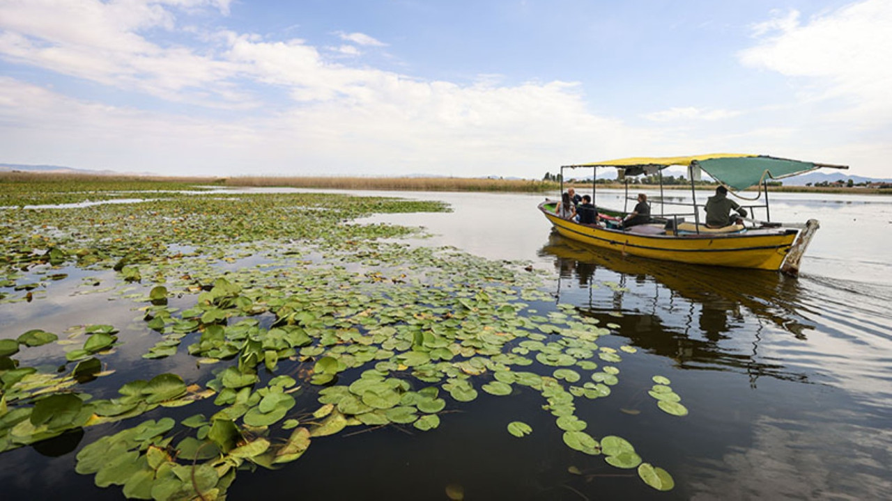 Türkiye'de 5 yer "mahalli sulak alan" kapsamına alındı
