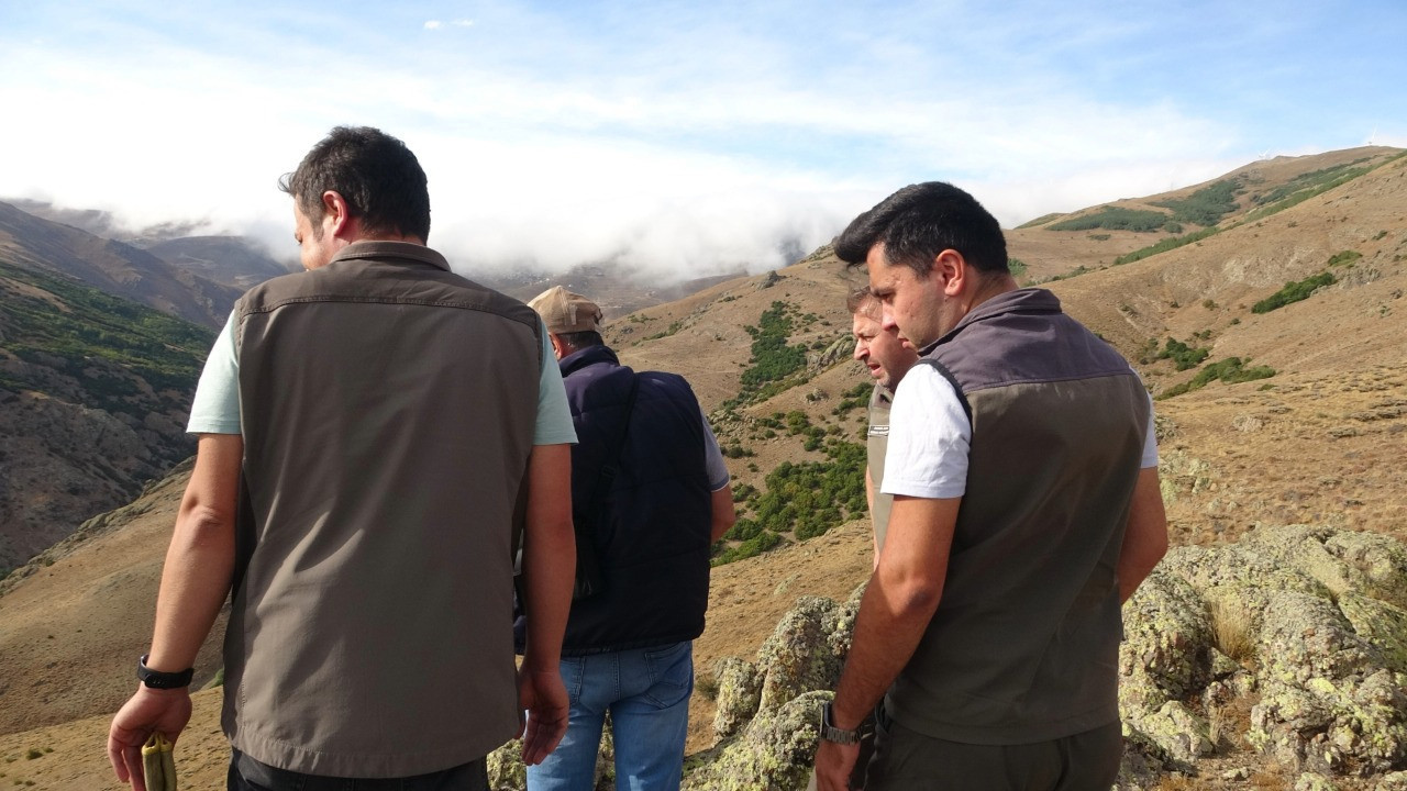 Annesini kaybeden yavru ayı köyü alarma geçirdi