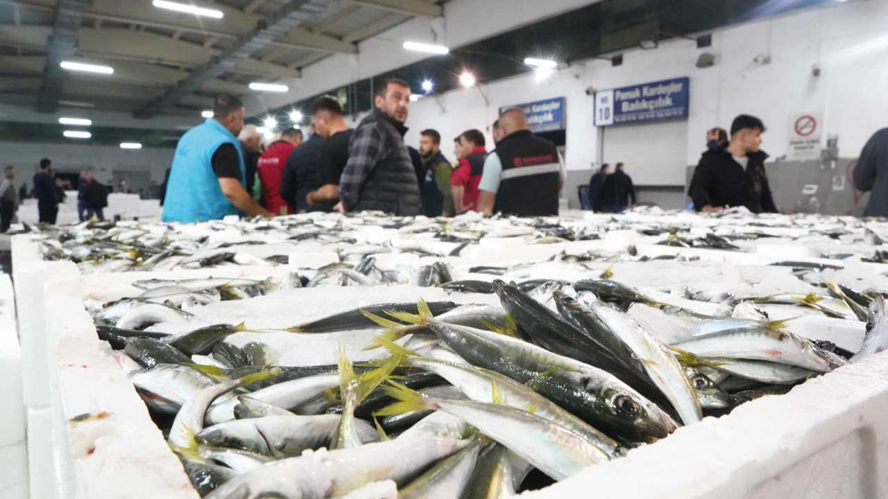 Balığın tadını zamlar kaçırdı