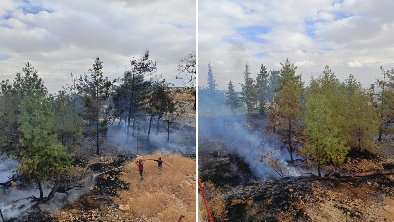 Fabrikada panik anları: Yangın ormanlık alanı sardı