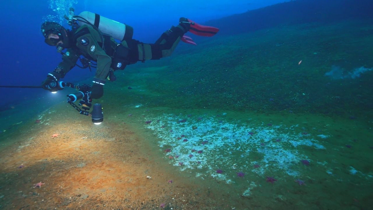 Antarktika'da tehlikeli sızıntı: 40'tan fazla tespit edildi