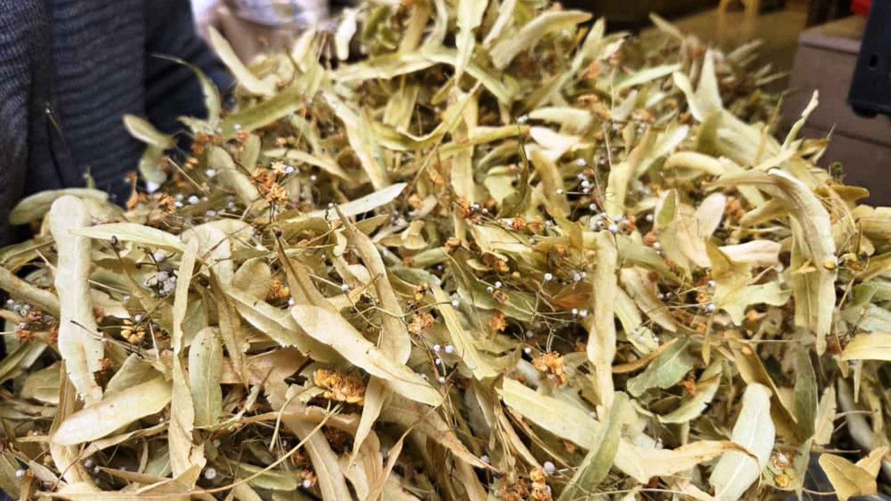 Şifa dağıtıyor ama doğru kaynatıldığında: İşte ıhlamurun püf noktaları