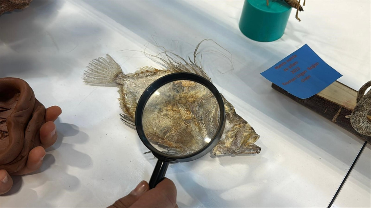 12 yaşında topladığı 5 bin fosille bilim müzesi kurdu