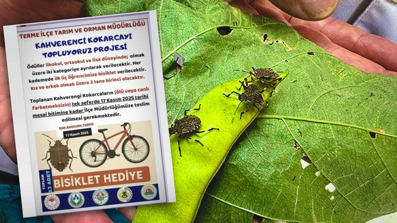 İlçe tarım çocukları sahaya sürdü: Ölü veya diri fark etmez, getirin