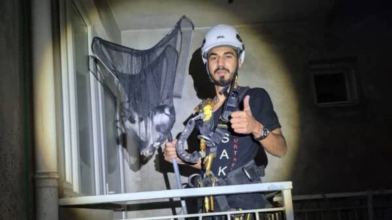 Apartman boşluğunda mahsur kalan yavru kedi kurtarıldı