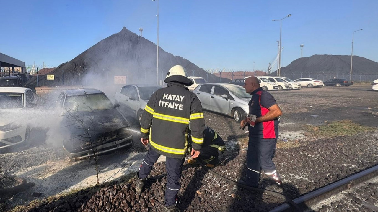 Park halindeyken alev aldı